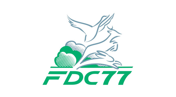 logo fdctt